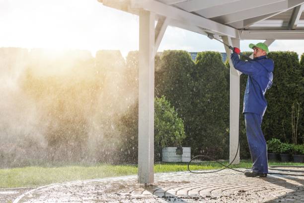 Best Fence Cleaning  in Platte, SD